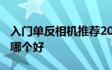 入门单反相机推荐2020知乎 单反入门级相机哪个好 