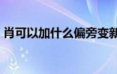 肖可以加什么偏旁变新字 肖可以加什么偏旁 