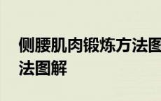 侧腰肌肉锻炼方法图解视频 侧腰肌肉锻炼方法图解 