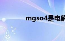 mgso4是电解质吗 mgso4 