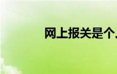 网上报关是个人吗 网上报关 