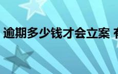 逾期多少钱才会立案 有用分期是正规公司吗 