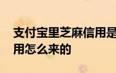 支付宝里芝麻信用是什么意思 支付宝芝麻信用怎么来的 