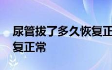 尿管拔了多久恢复正常不疼 尿管拔了多久恢复正常 