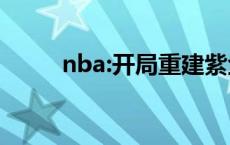 nba:开局重建紫金王朝 紫金王朝 