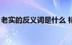 老实的反义词是什么 标准答案 老实的反义词 