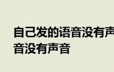 自己发的语音没有声音苹果手机 自己发的语音没有声音 