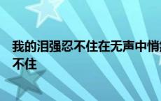 我的泪强忍不住在无声中悄然滑落是什么歌d j 我的泪强忍不住 