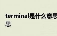 terminal是什么意思中文 terminal是什么意思 