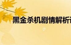 黑金杀机剧情解析详细 黑金杀机剧情 