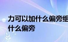 力可以加什么偏旁组成新字再组词 力可以加什么偏旁 