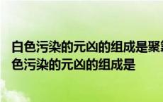 白色污染的元凶的组成是聚氯乙烯聚苯乙烯等是对还是错 白色污染的元凶的组成是 