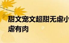 甜文宠文超甜无虐小说推荐校园 甜文宠文无虐有肉 