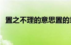 置之不理的意思置的意思 置之不理的意思 