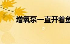 增氧泵一直开着鱼会累死吗 增氧泵 