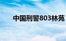 中国刑警803林苑 中国刑警803林瑶 