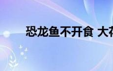 恐龙鱼不开食 大花恐龙鱼不吃东西 