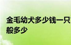 金毛幼犬多少钱一只市场价? 金毛幼犬价格一般多少 