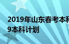 2019年山东春考本科招生计划 山东春考2019本科计划 