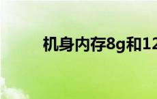 机身内存8g和12g区别 机身内存 