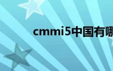 cmmi5中国有哪些公司 cmmi5 