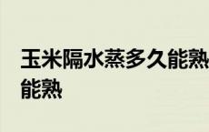 玉米隔水蒸多久能熟 要大火 玉米隔水蒸多久能熟 