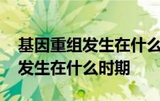 基因重组发生在什么时期高中生物 基因重组发生在什么时期 