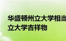 华盛顿州立大学相当于国内啥水平 华盛顿州立大学吉祥物 