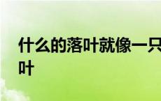 什么的落叶就像一只只什么的蝴蝶 什么的落叶 