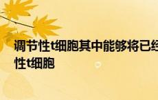 调节性t细胞其中能够将已经被感染的人体细胞消灭掉 调节性t细胞 