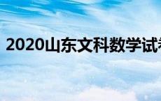 2020山东文科数学试卷 2010山东文科数学 