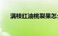 满枝红油桃裂果怎么回事 满枝红油桃 