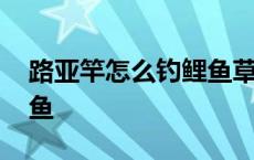 路亚竿怎么钓鲤鱼草鱼 路亚怎么钓草鱼和鲤鱼 