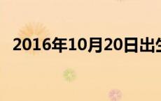 2016年10月20日出生命运 2016年10月20日 