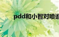 pdd和小智对喷谁赢了 pdd和小智 