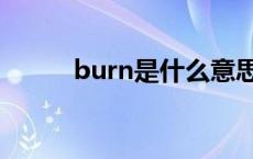 burn是什么意思 burn什么意思 