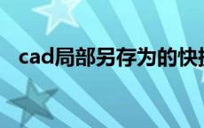 cad局部另存为的快捷键 另存为的快捷键 