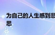 为自己的人生感到悲哀 为自己悲鸣是什么意思 