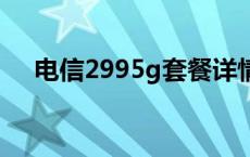 电信2995g套餐详情 电信299套餐详情 