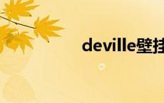 deville壁挂炉 deville 