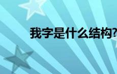 我字是什么结构? 我字是什么结构 