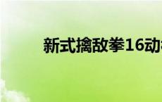 新式擒敌拳16动视频 新式擒敌拳 