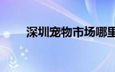 深圳宠物市场哪里好 深圳宠物市场 