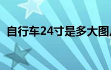 自行车24寸是多大图片 自行车24寸是多大 