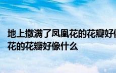 地上撒满了凤凰花的花瓣好像什么补充句子 地上撒满了凤凰花的花瓣好像什么 