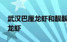 武汉巴厘龙虾和靓靓蒸虾哪个好吃 武汉巴厘龙虾 