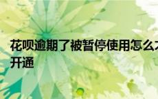 花呗逾期了被暂停使用怎么才能重新使用 花呗逾期停用了求开通 