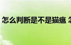 怎么判断是不是猫瘟 怎么看猫有没有狂犬病 