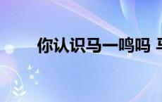 你认识马一鸣吗 马一鸣演说家简介 