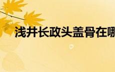 浅井长政头盖骨在哪个博物馆 浅井长政 